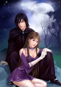 非常逼婚：爱妻，拒嫁无效